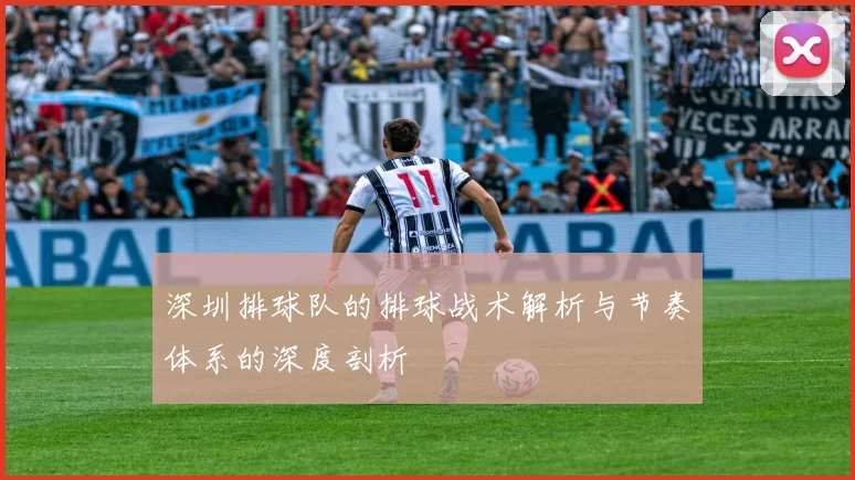 深圳排球队的排球战术解析与节奏体系的深度剖析