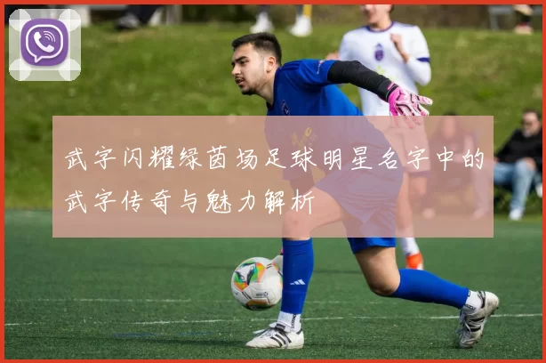 武字闪耀绿茵场足球明星名字中的武字传奇与魅力解析