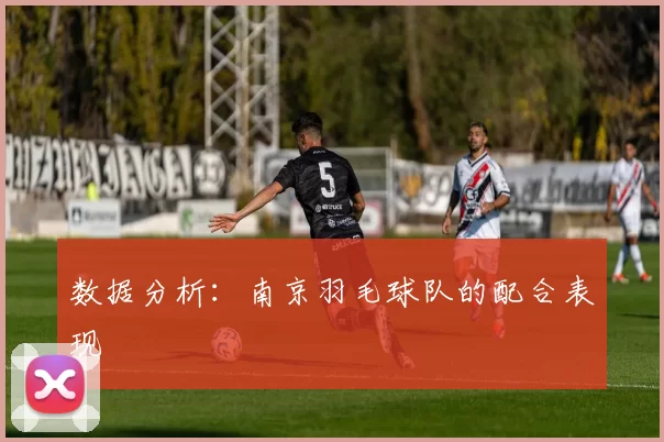 数据分析：南京羽毛球队的配合表现