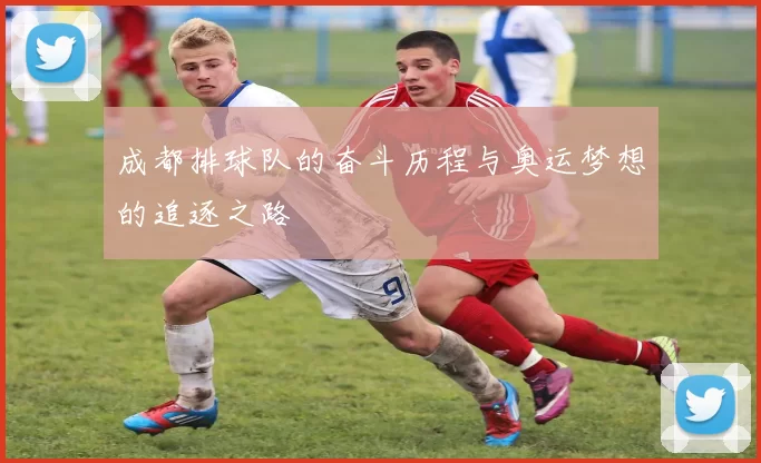 成都排球队的奋斗历程与奥运梦想的追逐之路