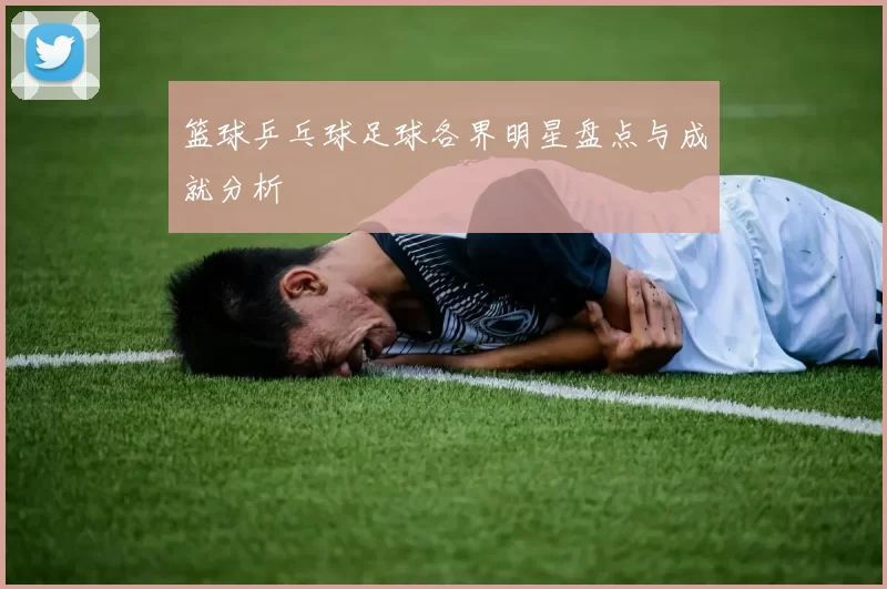 篮球乒乓球足球各界明星盘点与成就分析