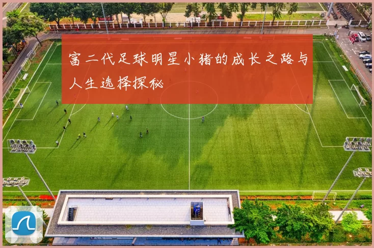 富二代足球明星小猪的成长之路与人生选择探秘