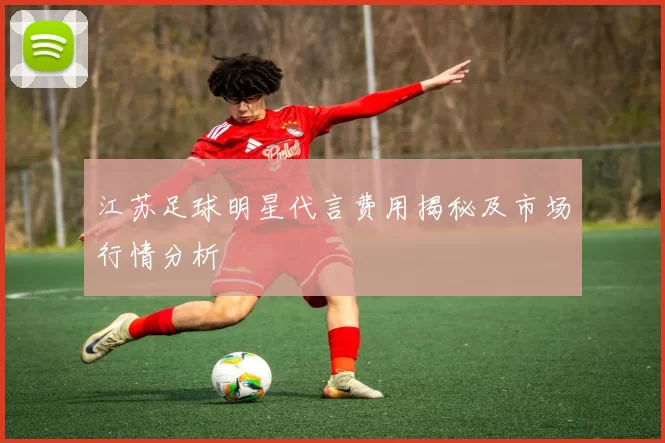 江苏足球明星代言费用揭秘及市场行情分析