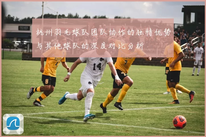 杭州羽毛球队团队协作的独特优势与其他球队的深度对比分析