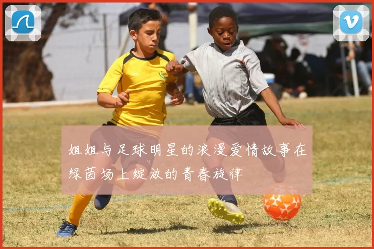 姐姐与足球明星的浪漫爱情故事在绿茵场上绽放的青春旋律