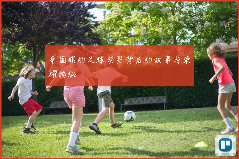 举国旗的足球明星背后的故事与荣耀揭秘