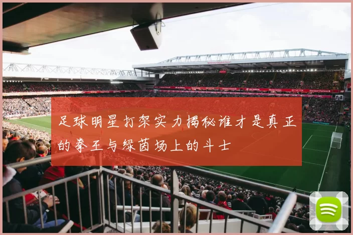 足球明星打架实力揭秘谁才是真正的拳王与绿茵场上的斗士