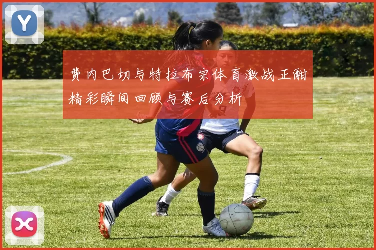 费内巴切与特拉布宗体育激战正酣精彩瞬间回顾与赛后分析