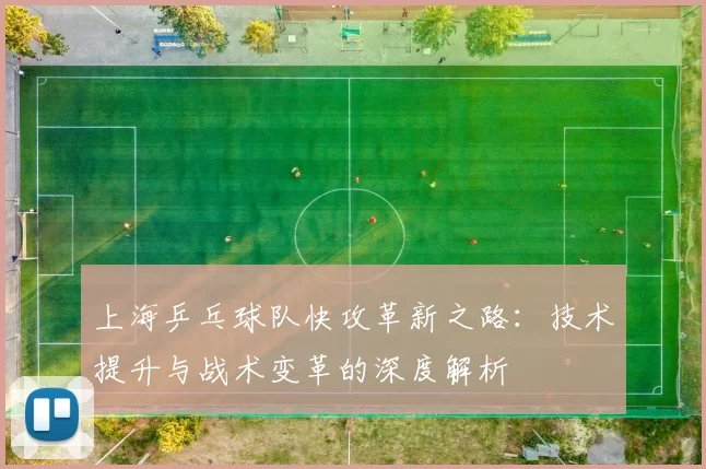 上海乒乓球队快攻革新之路：技术提升与战术变革的深度解析