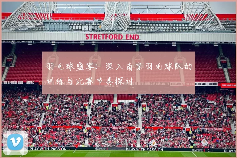 羽毛球盛宴：深入南京羽毛球队的训练与比赛节奏探讨