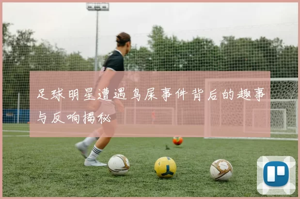足球明星遭遇鸟屎事件背后的趣事与反响揭秘