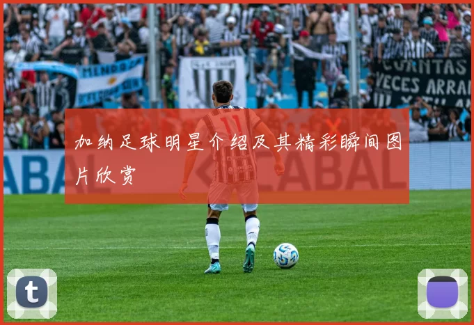 加纳足球明星介绍及其精彩瞬间图片欣赏